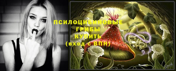apvp Нягань